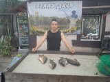 IMG_20240727_184101_1.jpg