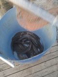 IMG_20240727_200622.jpg