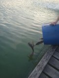 IMG_20240727_200707_1.jpg