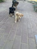 IMG_1072.jpeg