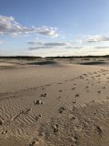 IMG_1692.jpeg