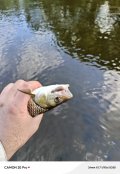 IMG_20240730_161844_505.jpg