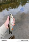 IMG_20240730_170425_193.jpg