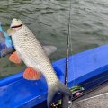 IMG_20240704_103055.jpg
