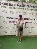 IMG_1151.jpeg