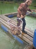IMG_20240801_123521.jpg