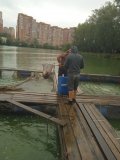 IMG_20240801_123540_1.jpg
