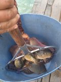 IMG_20240801_123636.jpg