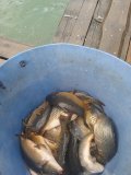 IMG_20240801_123912.jpg