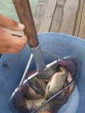 IMG_20240801_124018_1.jpg