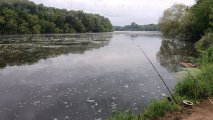 IMG_20240729_061433.jpg