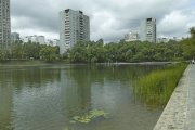 DP1M1360.jpg