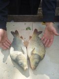 IMG_20240803_104449.jpg