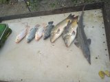 IMG_20240804_184752.jpg