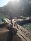 IMG_20240805_080507_1.jpg