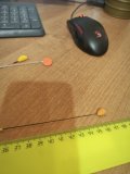 IMG_20240805_130351.jpg