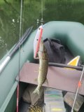 IMG_20240801_164359.jpg