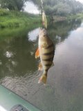 IMG_20240803_184735.jpg