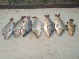 IMG_20240805_184553_1.jpg