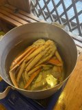 IMG_1291.jpeg