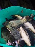 IMG_20240807_004832.jpg
