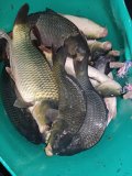 IMG_20240807_002836.jpg
