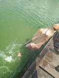IMG_20240807_103413_1.jpg