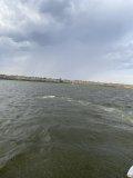 IMG_1317.jpeg