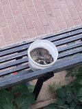 IMG_1330.jpeg