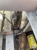 IMG_1350.jpeg
