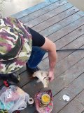 IMG_20240807_180434.jpg