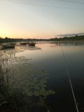 IMG_20240727_204258_006.jpg