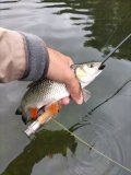 IMG20240811092059.jpg