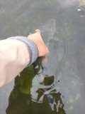 IMG20240811092740.jpg