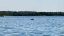 71050f97-0b97-4294-9b9d-8b45fd8e11dc.jpg