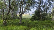 c31fe597-b05d-4434-a331-cf7efd7f5b9e.jpg