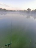 IMG20240816051901.jpg