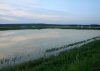 Рыбхоз Пара.Прудыjpg_filtered копия.jpg