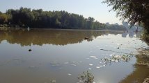 IMG_20240825_085427_514.jpg