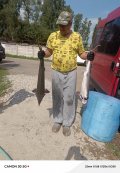 IMG_20240827_125114_051.jpg