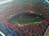 IMG_20240827_053207.jpg