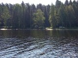 IMG_20200823_103606.jpg