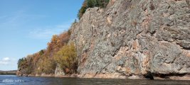 IMG_20231008_122019_088.jpg