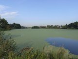 IMG_20240828_080808.jpg