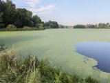 IMG_20240828_080753.jpg