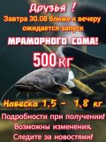 IMG-20240829-WA0010.jpg