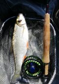 IMG_20240830_171818.jpg