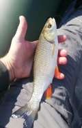 IMG_20240830_172128.jpg