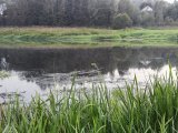 IMG_20240830_193211.jpg