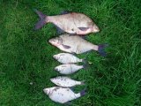 IMG_20240828_154348_173.jpg